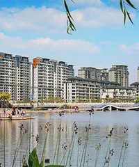 ���Ƽ�������200w���ڵĶ��ַ� ��ô���λ