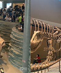 ���޴��Ϻ���Ȼ����� ����ģ�ͳ�����