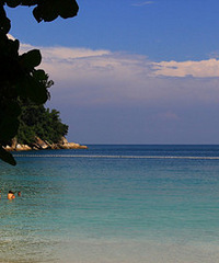 �����׵ĺ�ˮ�̵����۾�