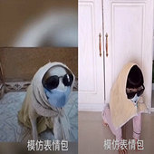 �ڼҶ��챻�Ʒ���