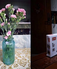 ��۴󼪴����������͵����������ɰ�