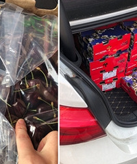 ˮ���г�����5�ﳵ���� ֻҪ180�飡