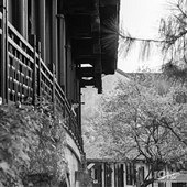 ����ǰϦ�ķ羰