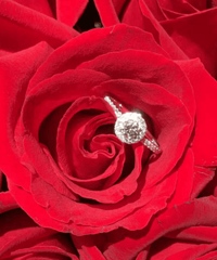 õ�廨��������Ŷ��