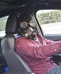 ���۾���˾������Ҫ�������𣿸о�����������