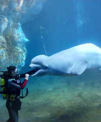 һ���������麣��¡��������