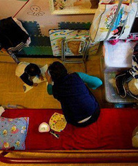 �����ڼ�������� ��������Ҫ����ͣ�