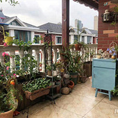 ���������ݲݵ���̨