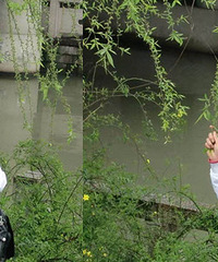 29��MM ����Т˳ �����������ĵ���