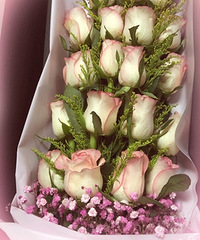 2019.7.12�յ�����Ʊ�͵ĵ�һ��õ�廨