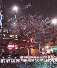 嘉兴下雪了!2020年的第一场!据说这儿下得超大!