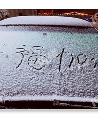 嘉兴下雪了!2020年的第一场!据说这儿下得超大!
