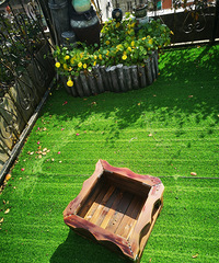 ��ѩ���ӵ�ҹ�� ͨ�����˸����⻨��