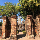 ��̩��С������ʤ��