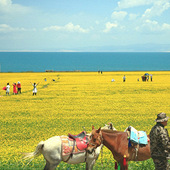 ��ȥ�ຣ���Ͽ��Ͳ˻�