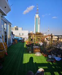 �����쿪ʼ��ʰ���� ׼��ӭ�Ӳ��õĴ�ů������