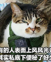 你们孕期便秘吗?快要折磨死我了!