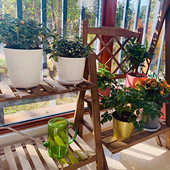 լ�ڼ���̨ɹ̫��