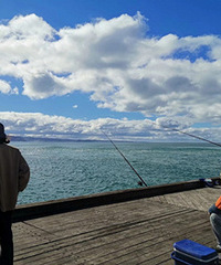 ����ȥһ�ΰ��޺��� ����ȫ������