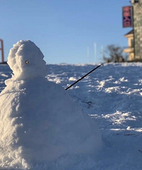 ����Ҫ�����Ѹ�����+��ʳ������