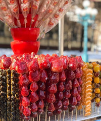 ����Ҫ�����Ѹ�����+��ʳ������