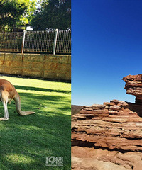 ��ǰ������ ιι���󱧱��ɰ��Ŀ���