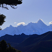 �������Ȱ��߷�