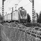 ��������ĺ�¡��