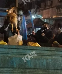 �ٱ�������������С���ſڻ��ݽ���