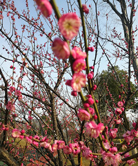 һ·��������