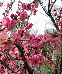 һ·��������