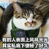 ���ڱ�����ĥ����