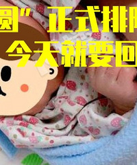 ���񱦱���С��Բ��Ҫ�ؼ���~