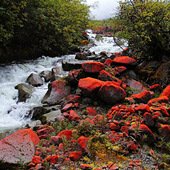 ��ʯ̲������ɫ