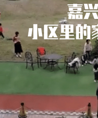 ��ĵ��»��Ƿ����ˡ�