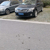 ���ÿ�ζ�����ͣ