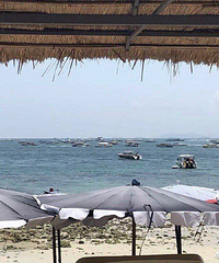 �����ʽ���NO.41��94��GG ����15W+ ��ĩ˫��