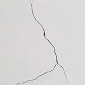 �齺��ǽ�澹��������