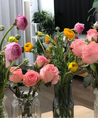 ���£�����լ���ͻ�