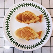 ����������̫�ɰ���