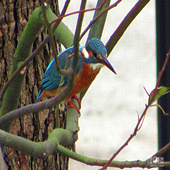 ����ʱ���ĵĴ���