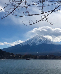 �������ձ������е������ĵ�