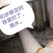 ��������������©��