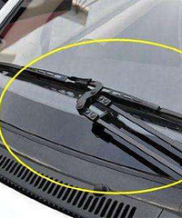 �����������ʲôԭ�� ���������˶�������