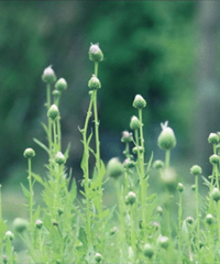 ����㣡�⼸�Ҳ���ɽˮ֮��ı������ޣ��������һ��Ҫȥ��