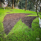 �ݵ��ϲ�һ����ͼ��