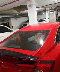 ��λ���� ������һ��Сβ���ᱻ�������