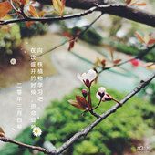 �������︴��