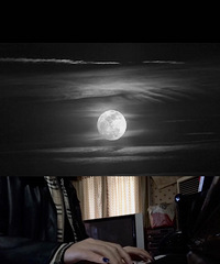 97��MM ��fashion��girl������٣���ߣè