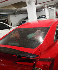 ���ʸ�λ���� ��������Сβ���ᱻ��������